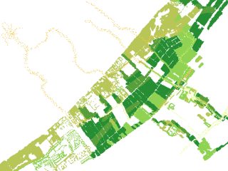 Thriving Forests