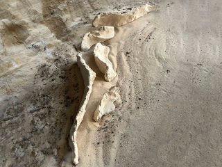 Sand Gardens