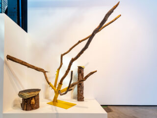 Dead Wood Alive on show at STAD=NATUUR